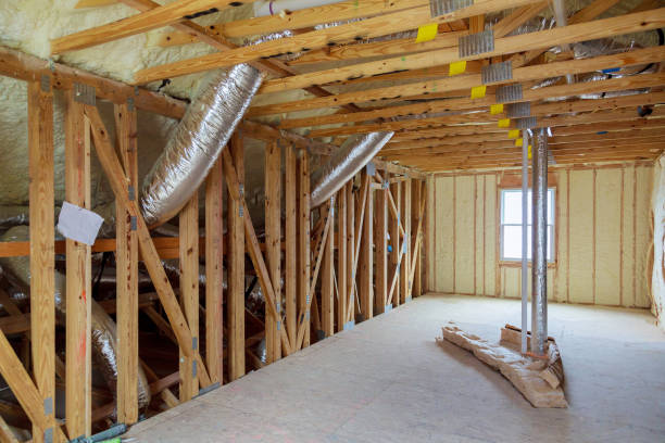 Best Insulation Repair Services  in Monte Vista, CO