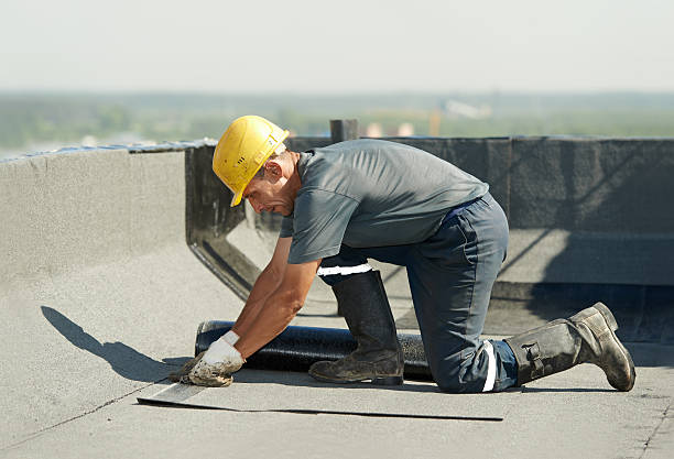 Best Insulation Contractor Near Me  in Monte Vista, CO